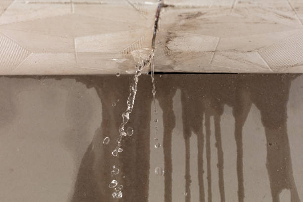 Professional Burst Pipe Cleanup technician working in Spring Hope, NC